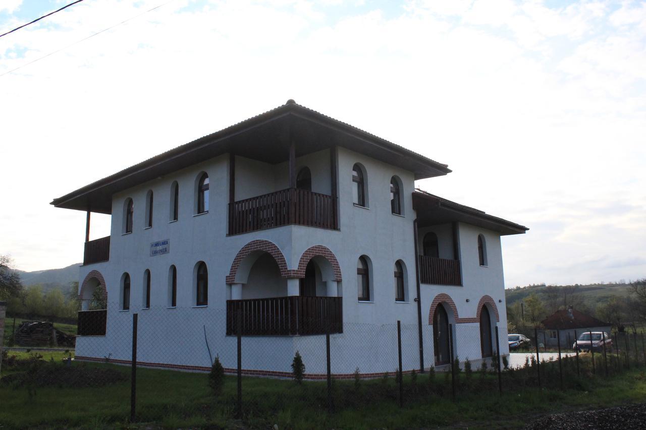 Pensiunea Casa Ungur Cetea Екстер'єр фото