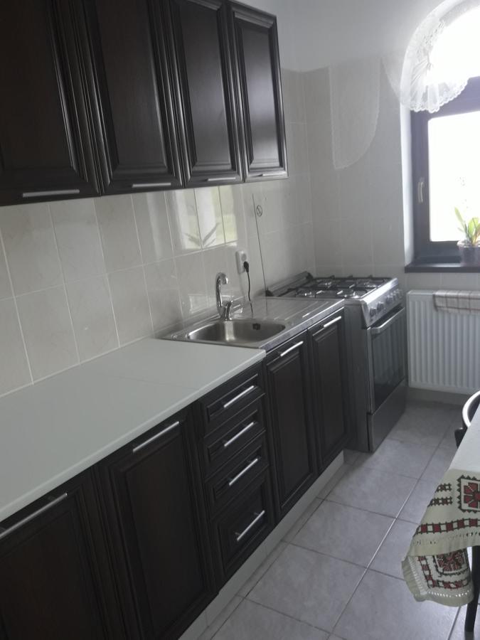 Pensiunea Casa Ungur Cetea Екстер'єр фото