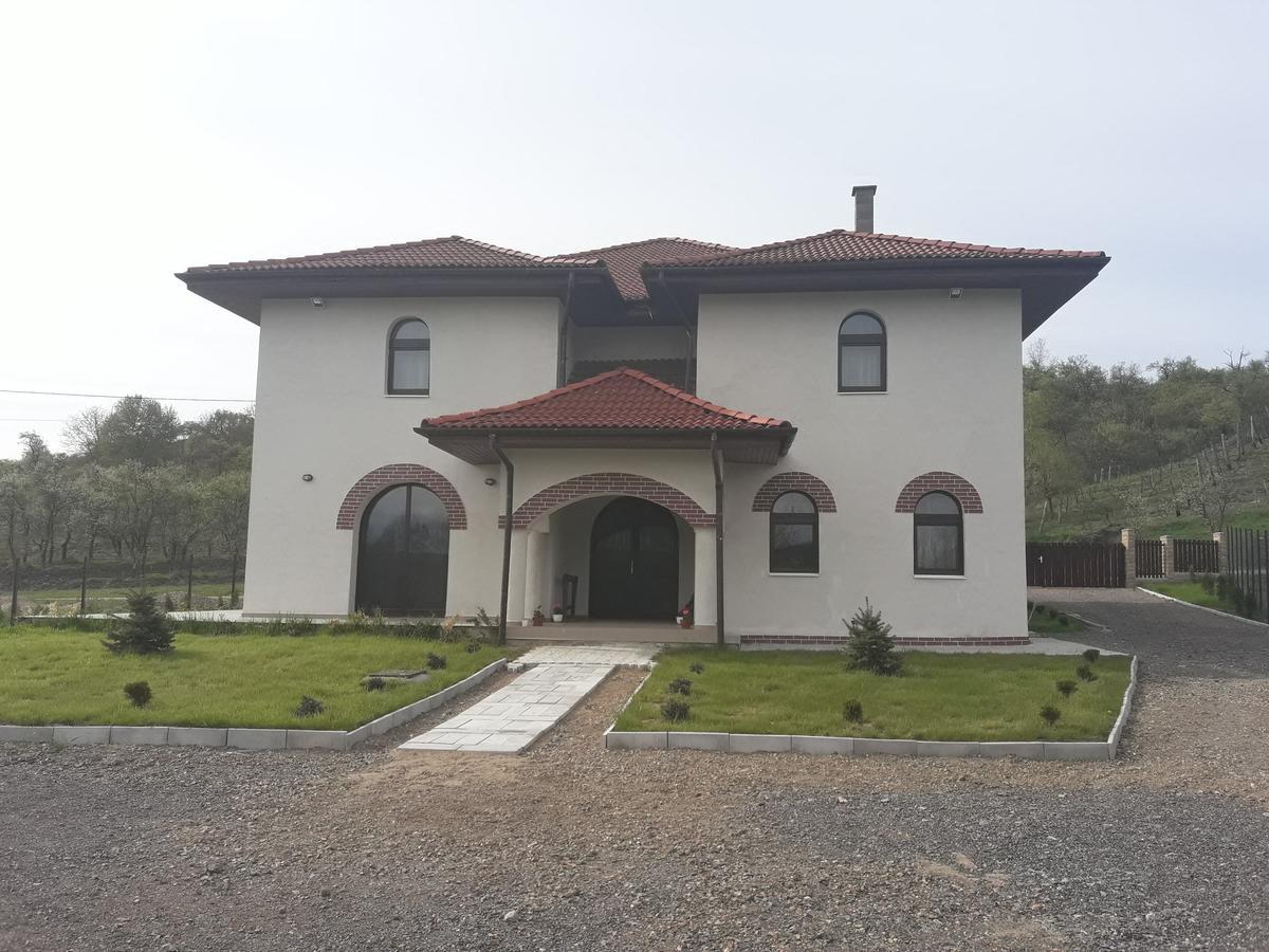 Pensiunea Casa Ungur Cetea Екстер'єр фото