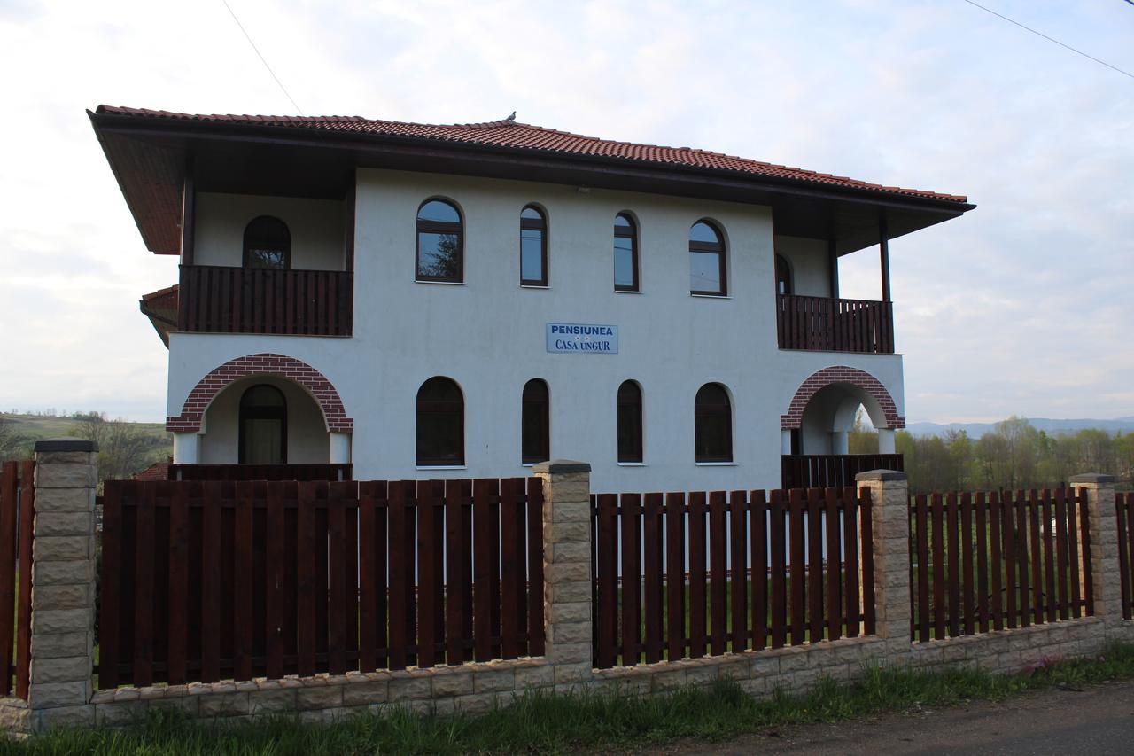 Pensiunea Casa Ungur Cetea Екстер'єр фото